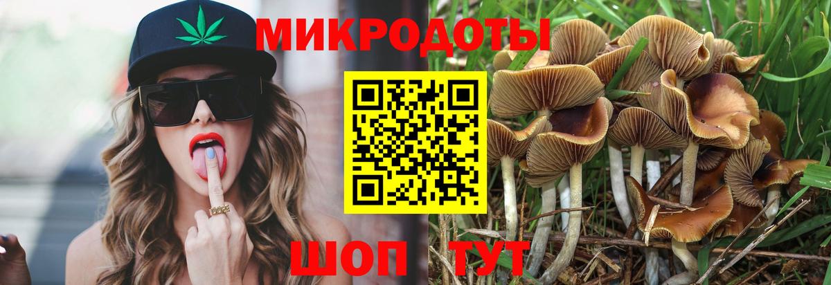 Ипатово  Псилоцибиновые грибы Psilocybine cubensis  Вход с VPN 