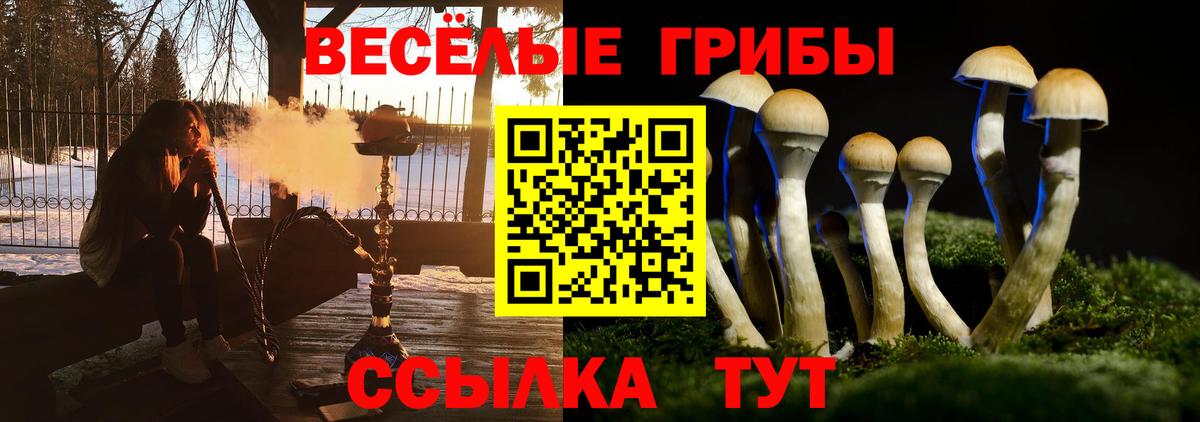 Псилоцибиновые грибы мицелий Ипатово